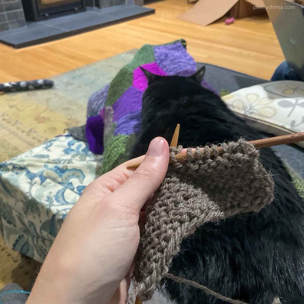 Knitting garter stitch shown with tuxedo cat asleep and stretched out on the knitter’s lap