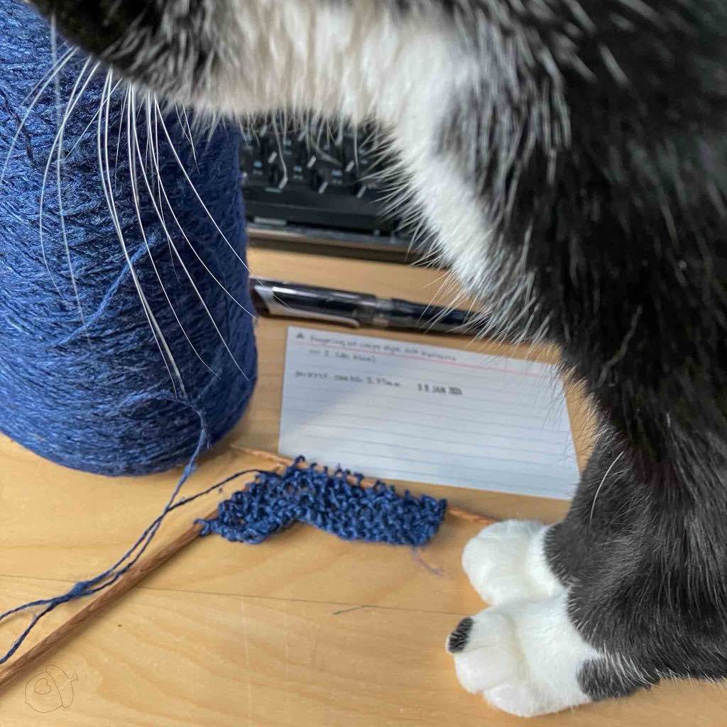 Cone and beginning of a swatch in ColourMart fingering weight crepe style silk bakketta on a desk that a tuxedo cat is inspecting 