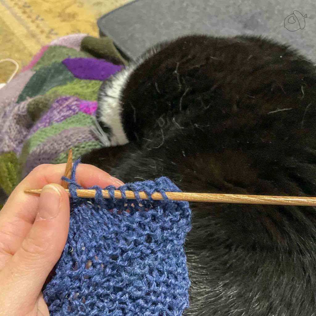 Tuxedo cat napping while a ColourMart fingering weight crepe style silk bakketta swatch is knitted 